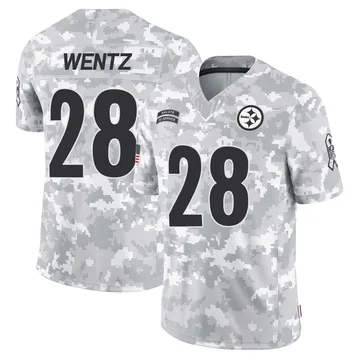 Men's Levi Wentz Pittsburgh Steelers Limited Arctic Camo 2024 Salute to Service Jersey
