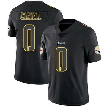 Youth Daylan Carnell Pittsburgh Steelers Limited Black Impact Jersey